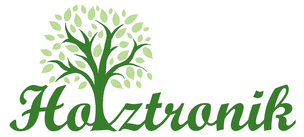 Holztronik_Logo_2024_1024